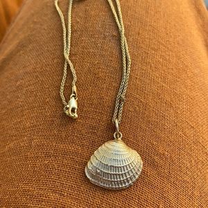 Clam shell necklace sea shell ocean underwater